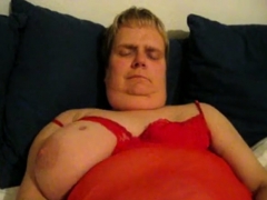 Danishslut 1